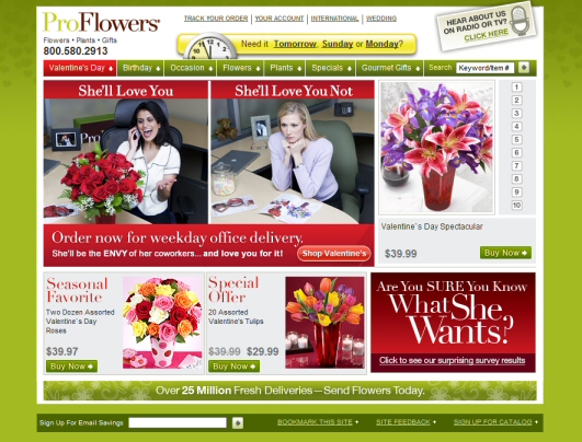 ProFlowers - the world's best converting website